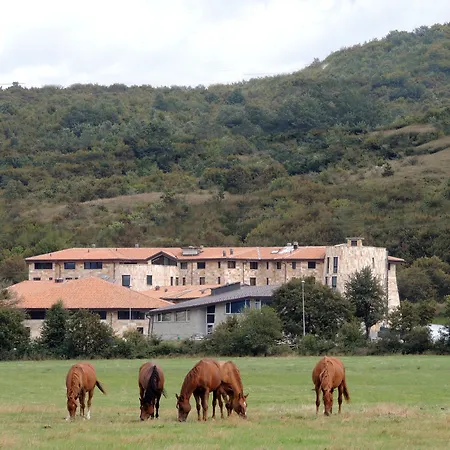 Aqua Montis & Rivisondoli