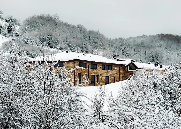 Aqua Montis & Spa Hotel