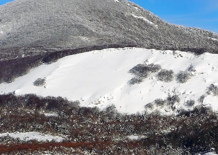 Aqua Montis & Отель 4*